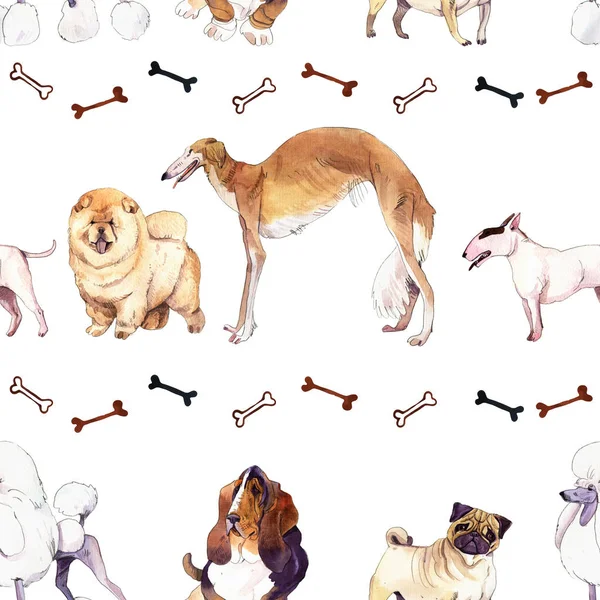 Akwarela, ilustracja zestaw psów — Zdjęcie stockowe