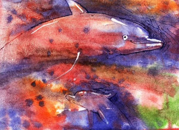 Akvarell Illustration Dolphin — Stockfoto