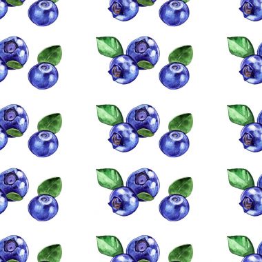 Sulu Boya bluebarry illüstrasyon seamless modeli