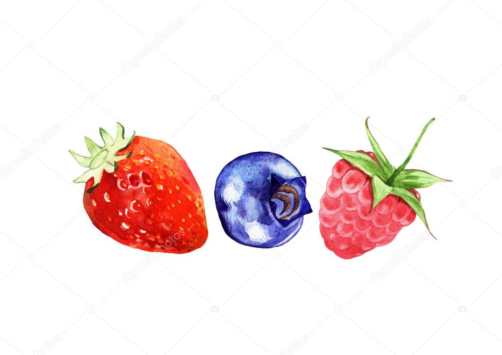 watercolor berries illustration isolated on white background