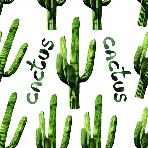 Akvarel bezešvé kaktus vzorek pozadí — Stock fotografie