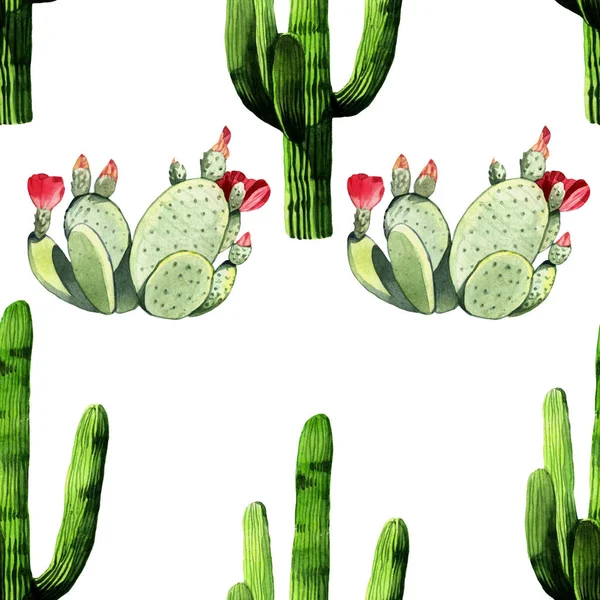 Acuarela cactus sin costura patrón de fondo — Foto de Stock