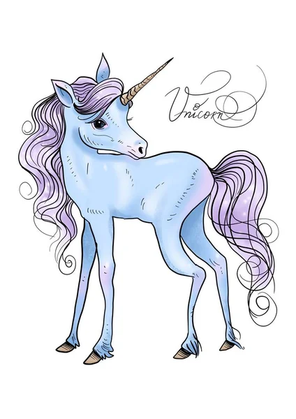 Isolated cute watercolor unicorn clipart. Nursery unicorns illustration. Princess unicorns poster.