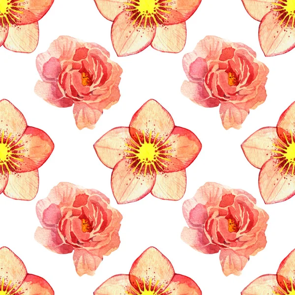 Ακουαρέλα floral μοτίβο άνευ ραφής. Hellebore λουλουδιών και φυτών σε λευκό φόντο. — Φωτογραφία Αρχείου
