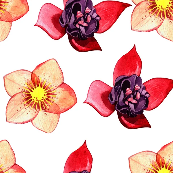 Aquarel naadloze bloemmotief. Helleborus flower en planten op witte achtergrond. — Stockfoto