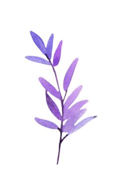 Yaprakları ile suluboya şube