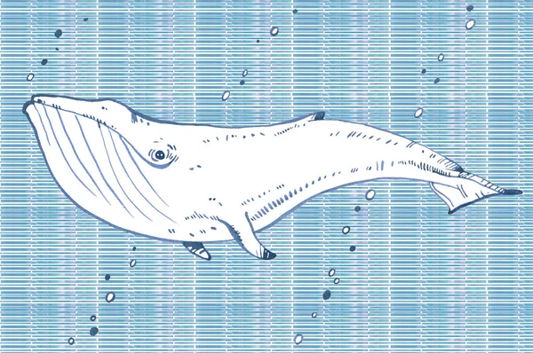 水彩クジラ イラスト — ストック写真