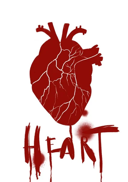 Ρεαλιστική καρδιά ακουαρέλα. Εικονογράφηση. — Φωτογραφία Αρχείου