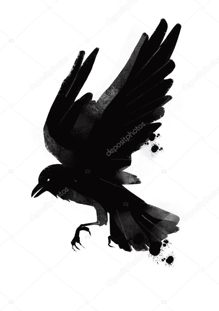 Illutration of black bird raven in gothic style ink