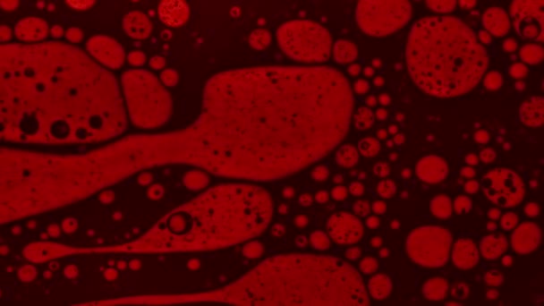 赤い流体はマクロモードの分子のように見えます — ストック動画