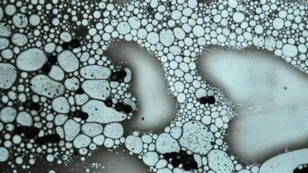 Жидкость Выглядит Молекулы Макрорежиме — стоковое видео