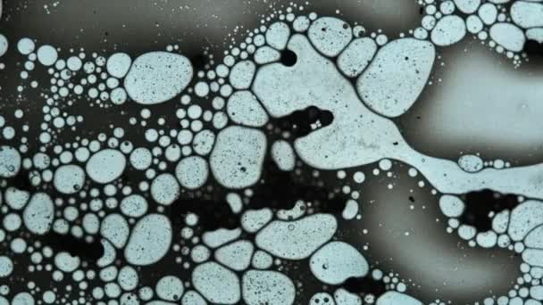 Fluide Ressemble Des Molécules Mode Macro — Video