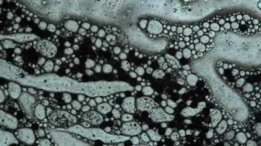 sıvı makro modundaki moleküller gibi görünüyor