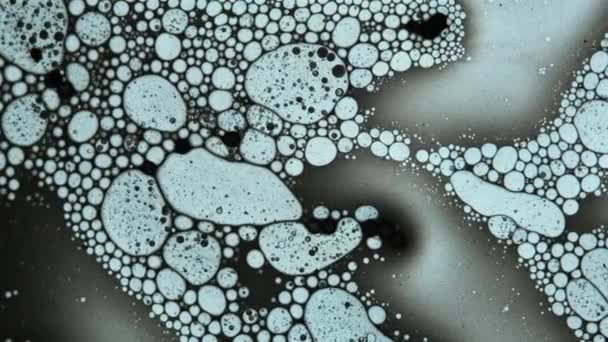 Fluid Looks Molecules Macro Mode — Stock Video