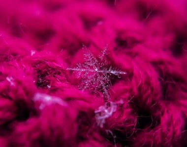 Kızıl kış arka planında kar taneleri güzeldir.