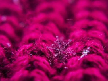 Kızıl kış arka planında kar taneleri güzeldir.