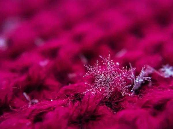 Sněhová Vločka Krásná Červeném Zimním Pozadí — Stock fotografie