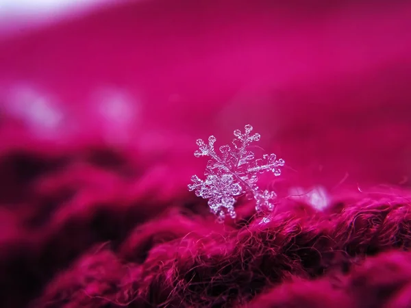 Schneeflocke Schön Auf Dem Roten Hintergrund Winter — Stockfoto