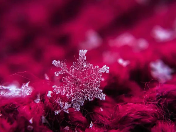 Sněhová vločka krásná na červeném zimním pozadí — Stock fotografie
