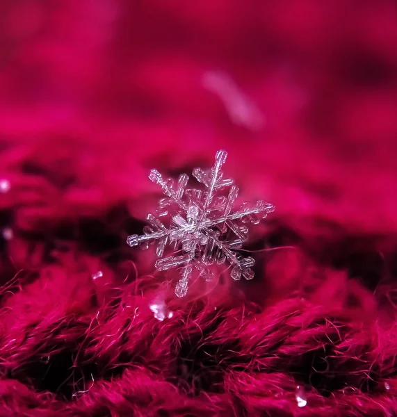 Sněhová vločka krásná na červeném zimním pozadí — Stock fotografie