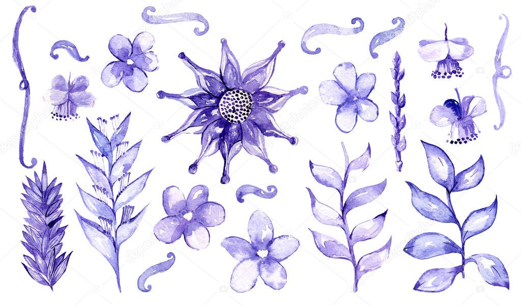 Watercolor hand drawn with brush and blue ink set with different malaysian plants and flowers, isolated on white background. Large raster illustration with branches and buds. Floral collection