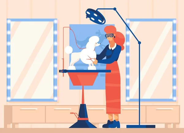 Vektorová scéna s ženským ženichem stříhajícím bílou kaluž v upraveném domácím salónu. Ploché postavy s vybavením pro účesy a kožešinové sestřihy v pokoji se zrcadly — Stockový vektor