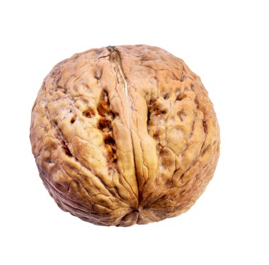 Cevizler beyaz üzerine izole 