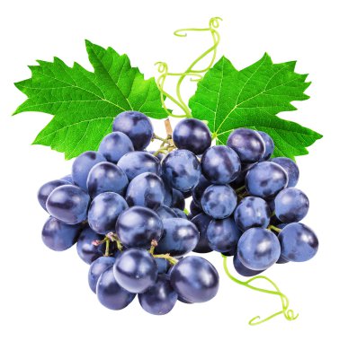 grapes isolated on the white