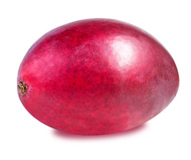 Beyaz üzerine izole edilmiş mango meyvesi. 