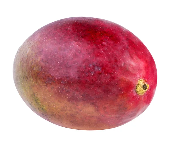 Mangofrucht isoliert auf weiß — Stockfoto