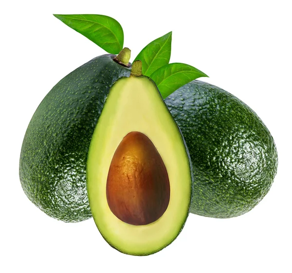 Avocado isoliert auf weiß — Stockfoto