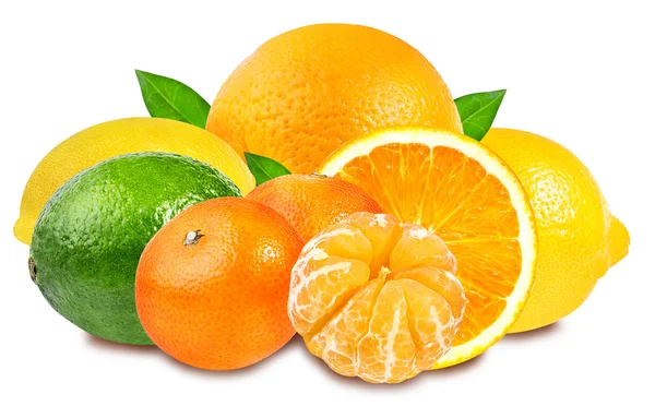 Cytrusowy owoc zestaw (mandarynka, pomarańczowy, limonki, cytryny) na białym tle — Zdjęcie stockowe