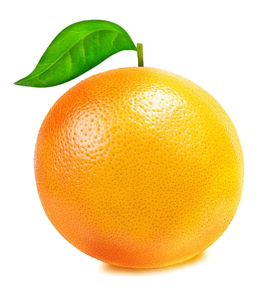 Citrus Fruit Set (tangerine, orange, lime, lemon) isolated — Φωτογραφία Αρχείου