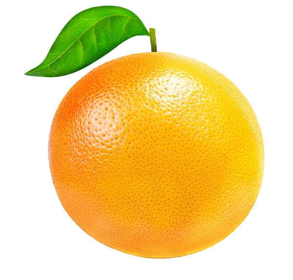 Conjunto de frutas cítricas (tangerina, laranja, limão, limão) isoladas — Fotografia de Stock