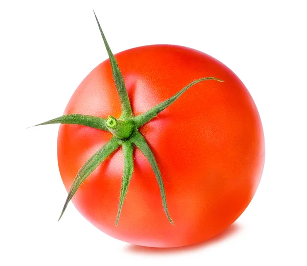 Tomate isoliert auf weiß. — Stockfoto