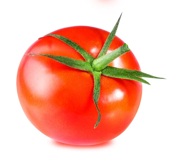 Tomate isolado em branco . — Fotografia de Stock