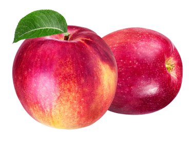 Elma beyaz üzerine izole