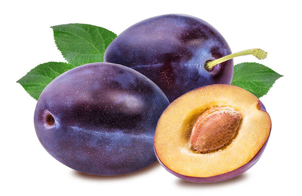 plum on a white