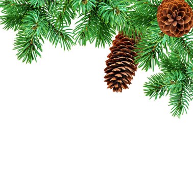 koni ve Noel ağacı izole 