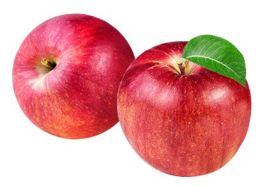 Elma beyaz üzerine izole 