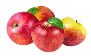 Elma beyaz üzerine izole 