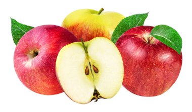 Elma beyaz üzerine izole 