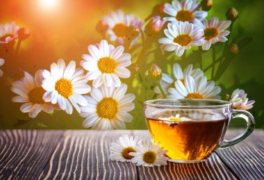 Papatya çayı çay papatya çiçeği ile 