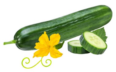 Yaprak ve çiçek ile beyaz bitti izole salatalık 