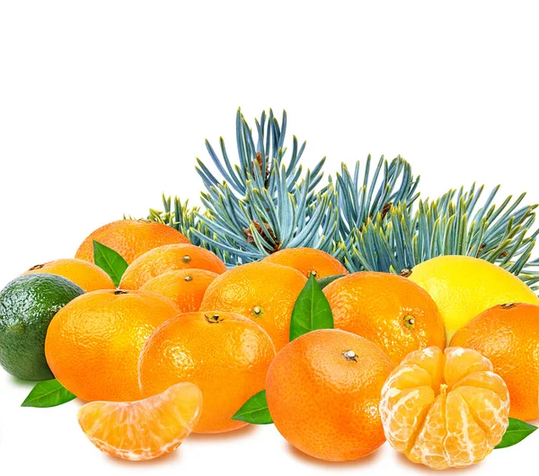 Conjunto de frutas cítricas (mandarina, lima, limón) aisladas en blanco —  Fotos de Stock