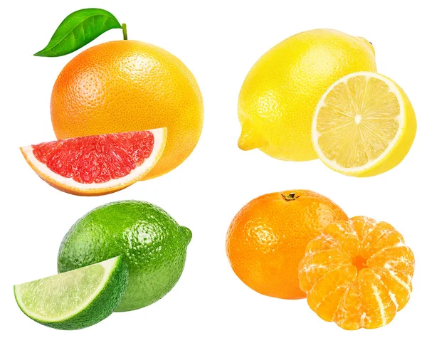 Citrus Fruit instellen (Mandarijn, grapefruit, limoen, citroen) geïsoleerde o — Stockfoto