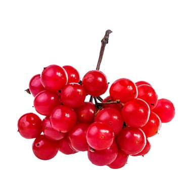 bir beyaz üzerine kırmızı kartopu, demet 