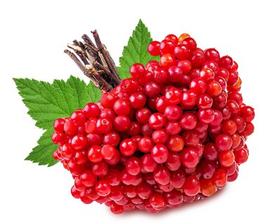 bir beyaz üzerine kırmızı kartopu, demet 