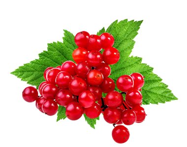 bir beyaz üzerine kırmızı kartopu, demet 