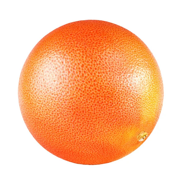 Toranja isolada sobre branco — Fotografia de Stock